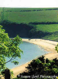 Freshwater East Beach - Summer